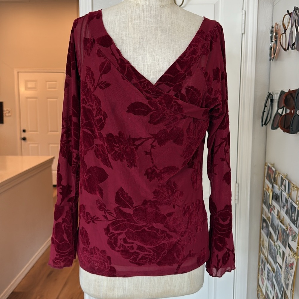 Vintage y2k velvet burnout whimsigoth rose deep red vneck blouse
